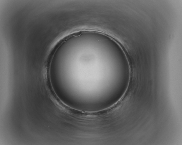 X0000110951503200906191240