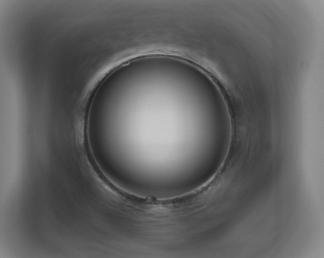X0000110951504200906191240