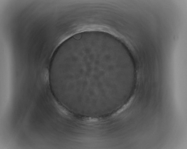 X0000110951505200906191240