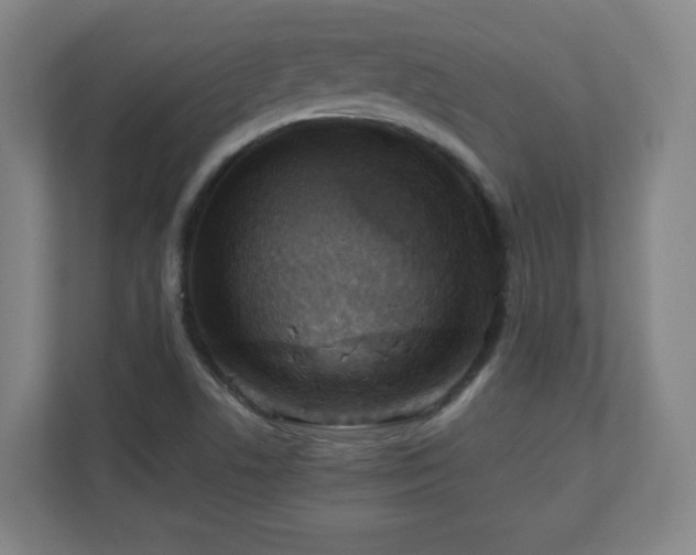 X0000110951506200906191240
