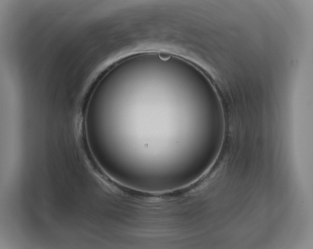 X0000110951507200906191240