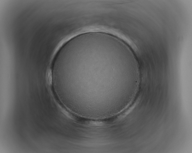 X0000110951509200906191240