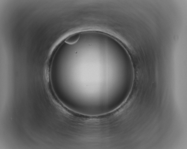 X0000110951510200906191240