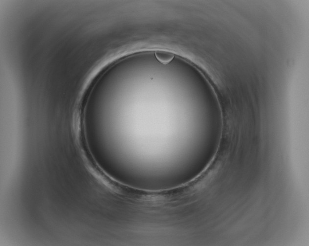 X0000110951511200906191240