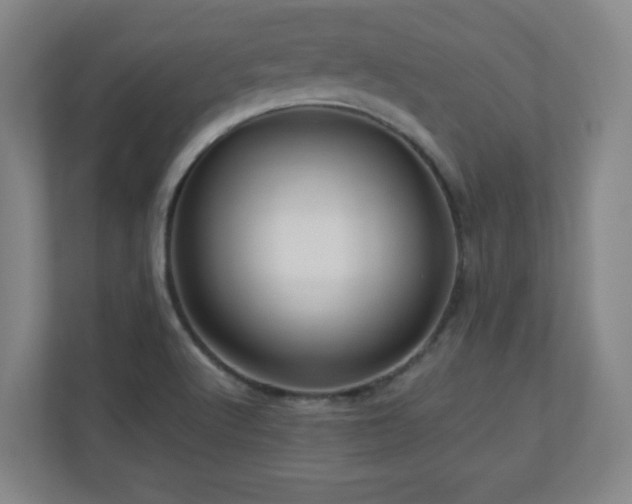 X0000110951512200906191240