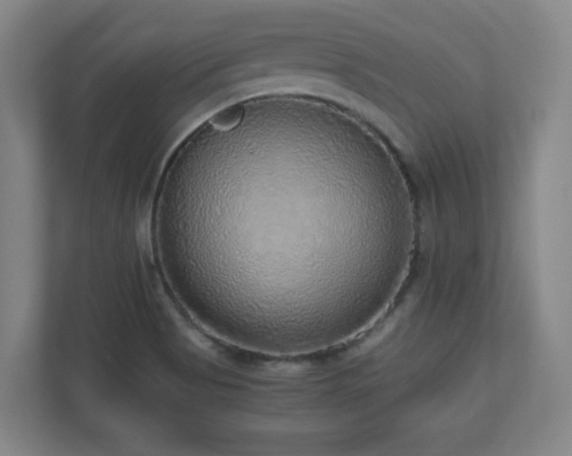 X0000110951513200906191240