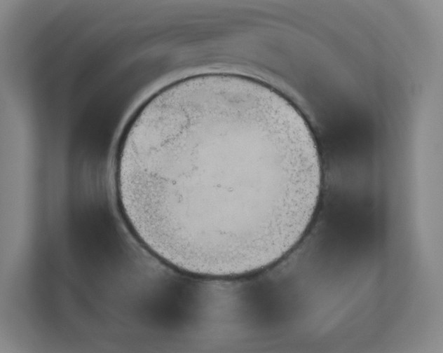 X0000110951514200906191240
