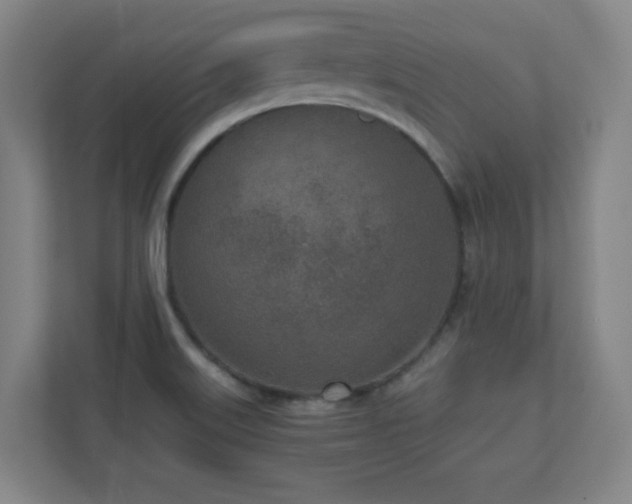 X0000110951515200906191240