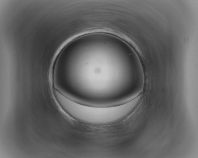 X0000110951516200906191240