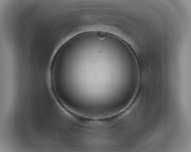 X0000110951517200906191240