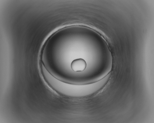 X0000110951518200906191240