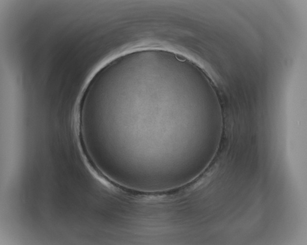 X0000110951519200906191240