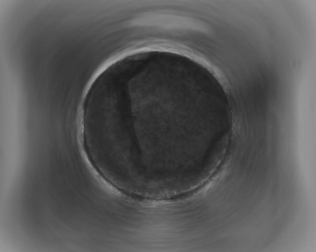 X0000110951522200906191240
