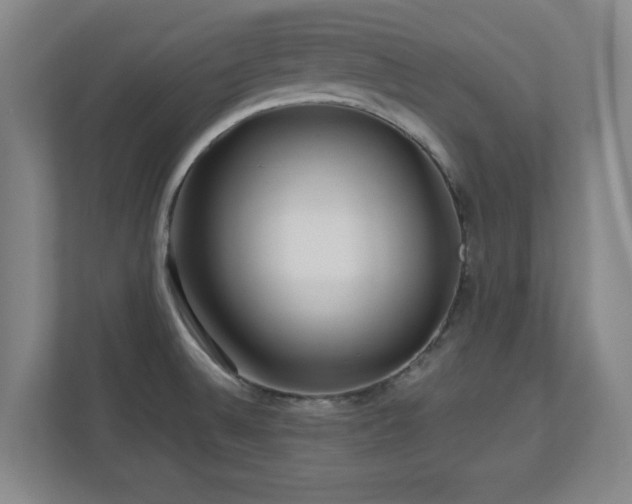 X0000110951524200906191240