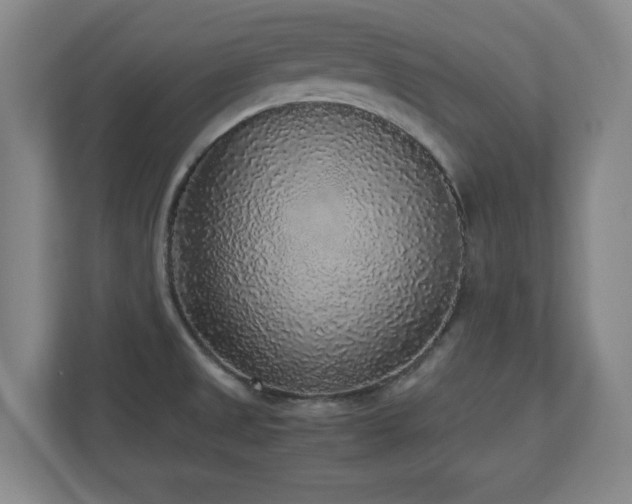 X0000110951525200906191240