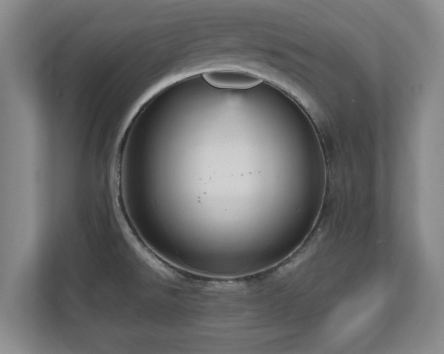 X0000110951526200906191240