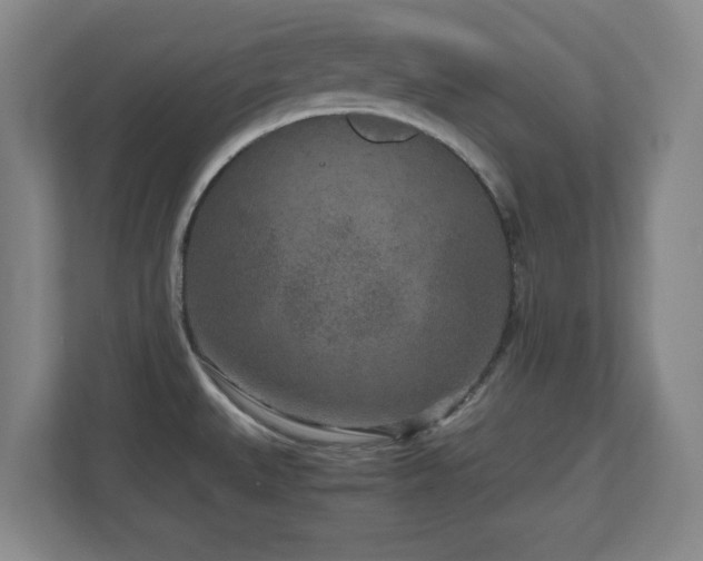 X0000110951527200906191240