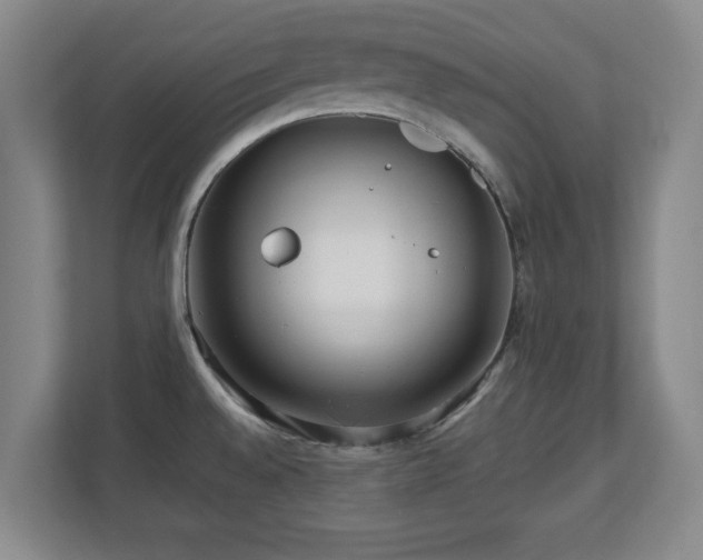 X0000110951528200906191240