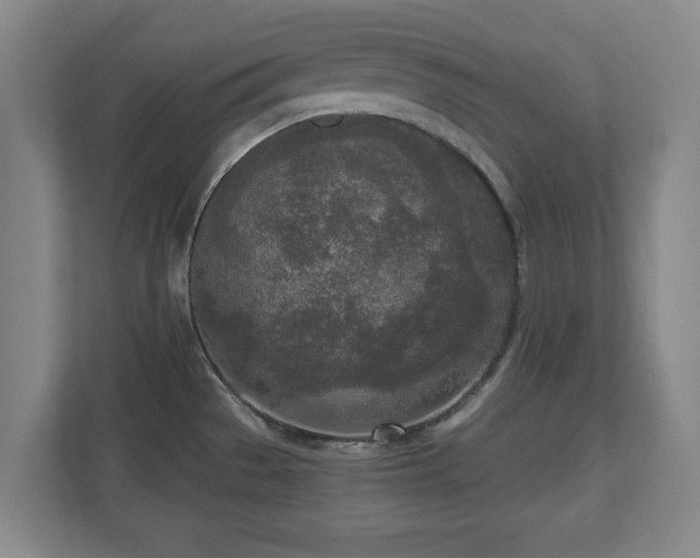 X0000110951529200906191240