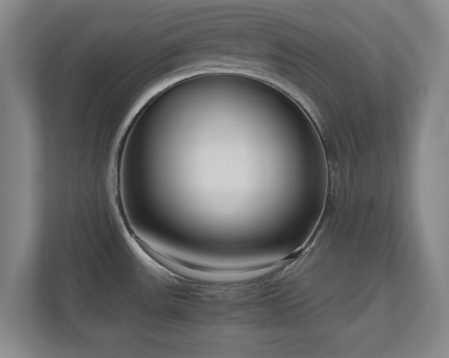 X0000110951531200906191240