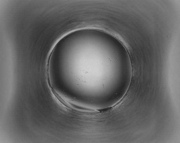 X0000110951532200906191240