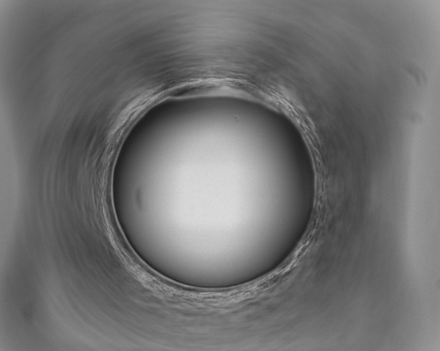 X0000110950001200906261330