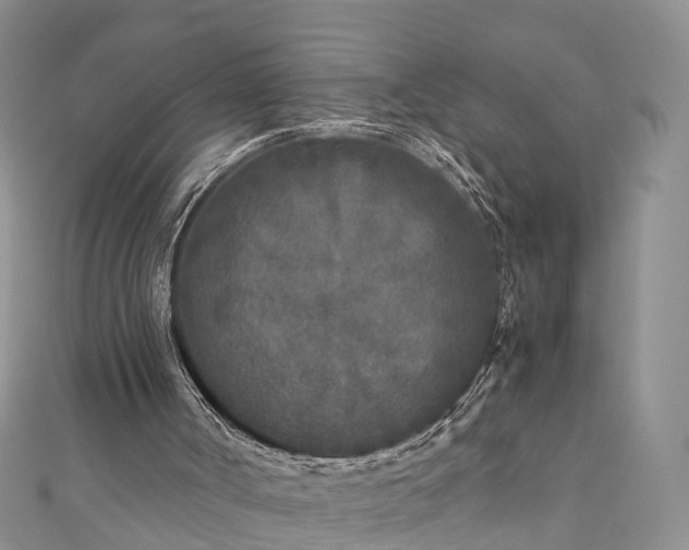 X0000110950002200906261330