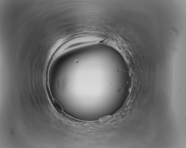 X0000110950003200906261330