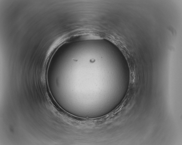 X0000110950004200906261330