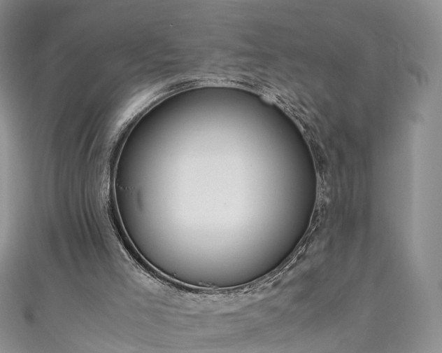 X0000110950005200906261330