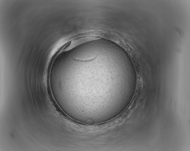 X0000110950006200906261330