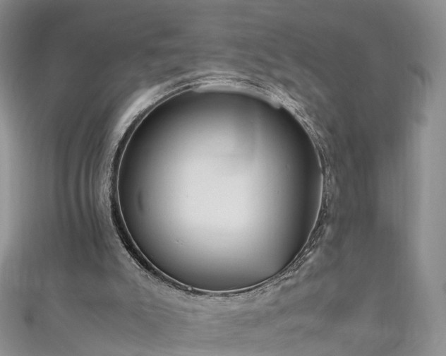 X0000110950007200906261330