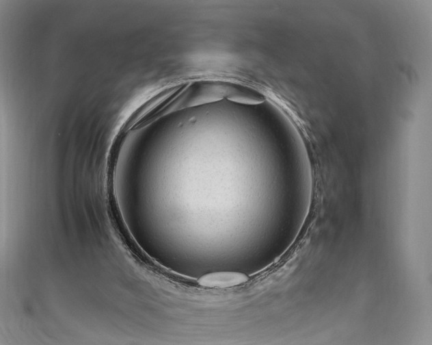 X0000110950008200906261330