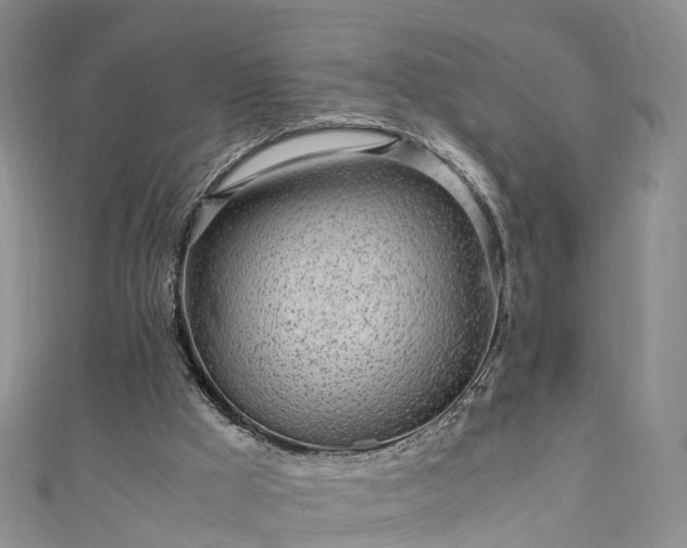 X0000110950009200906261330