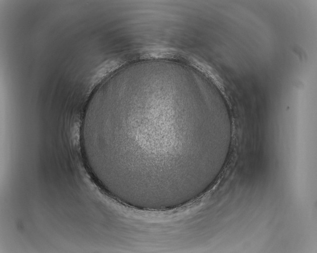 X0000110950010200906261330