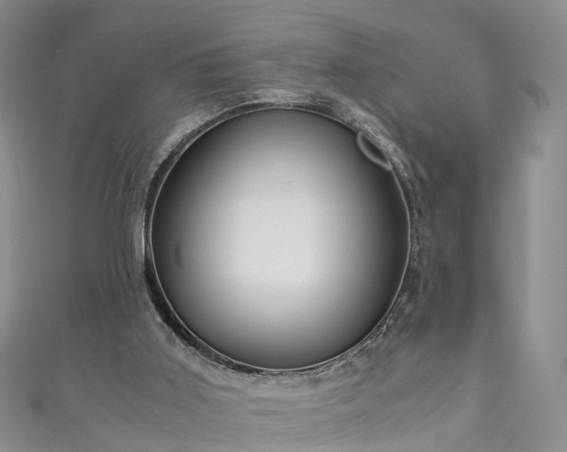 X0000110950011200906261330