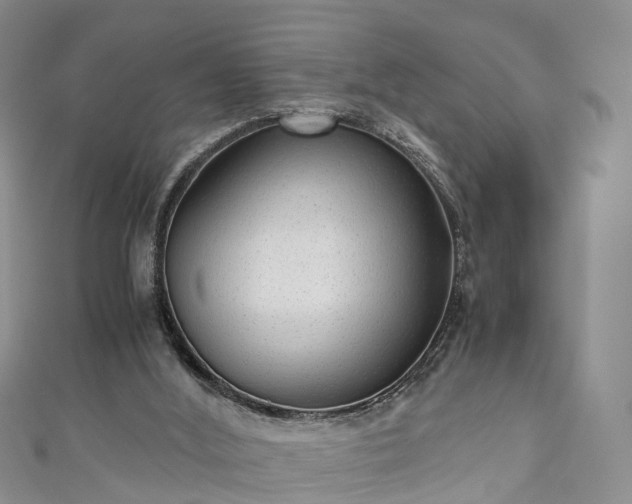 X0000110950012200906261330