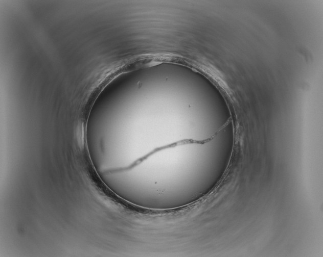 X0000110950013200906261330