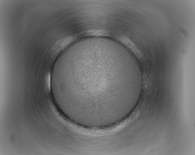 X0000110950014200906261330