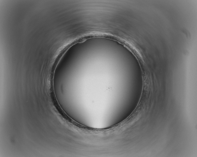 X0000110950015200906261330