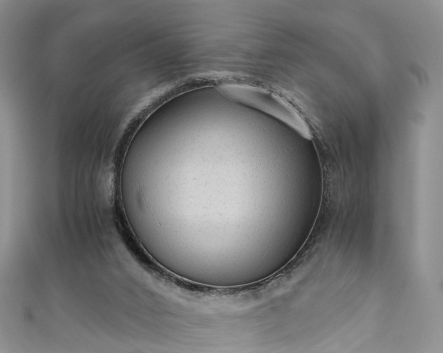 X0000110950016200906261330