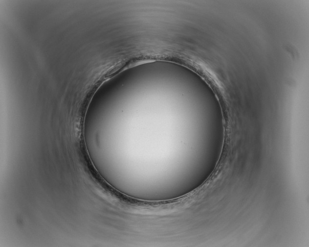 X0000110950017200906261330