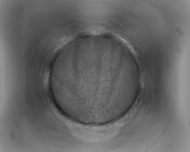 X0000110950018200906261330