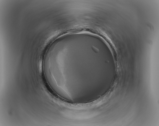 X0000110950019200906261330