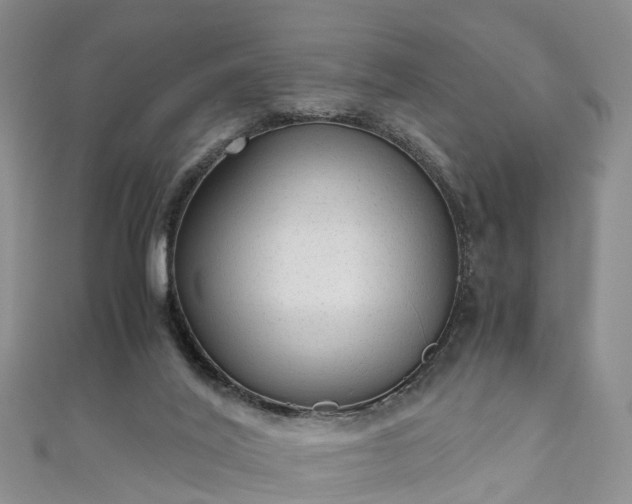 X0000110950020200906261330