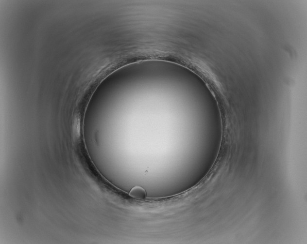 X0000110950021200906261330