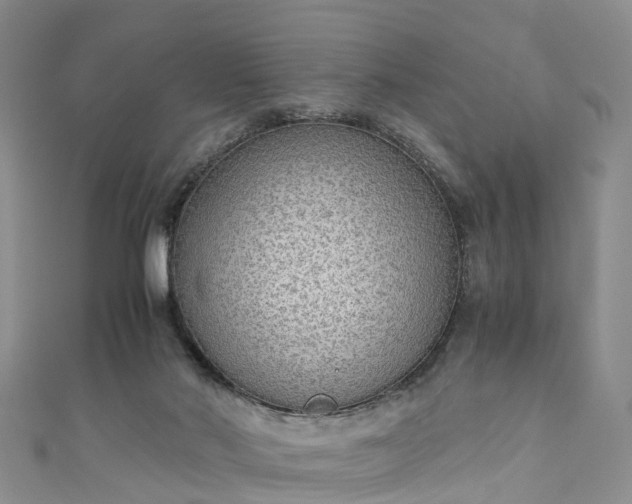 X0000110950022200906261330