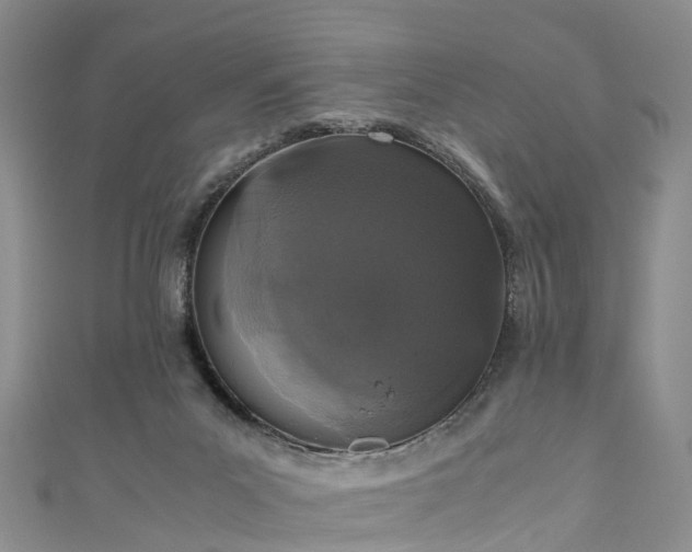 X0000110950023200906261330