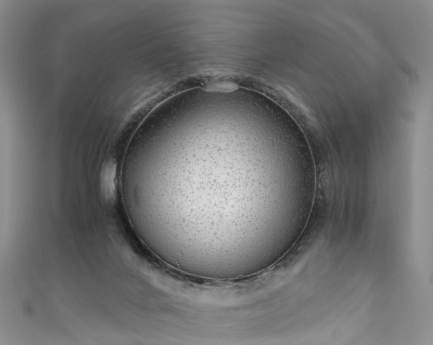 X0000110950024200906261330