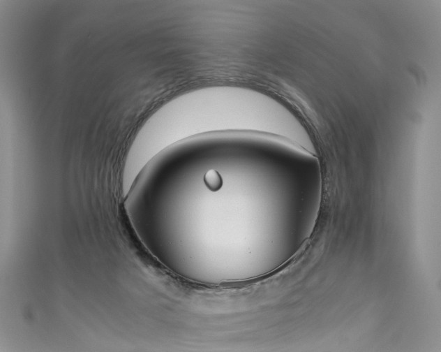 X0000110950025200906261330